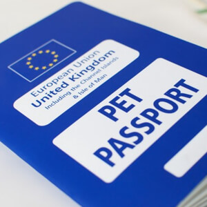 Pet Passport - Care Advice