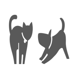 Pet Care Advice logo