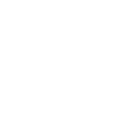 Horse icon