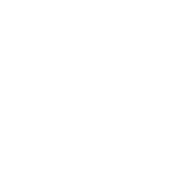 Rabbit icon