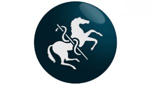 BEVA Logo - Purchasing a Horse