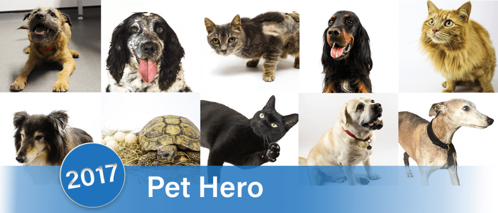 Isabelle Vets Pet Hero