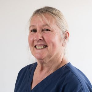 Linda Barnes