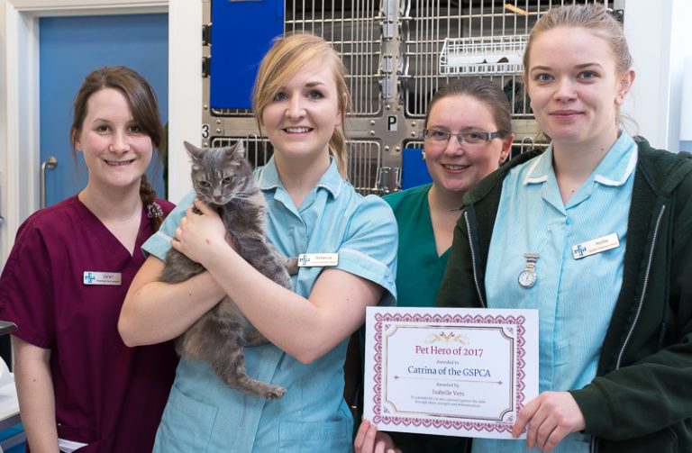 Pet Hero Award Catrina