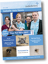 Isabelle Vets March 2018 Newsletter