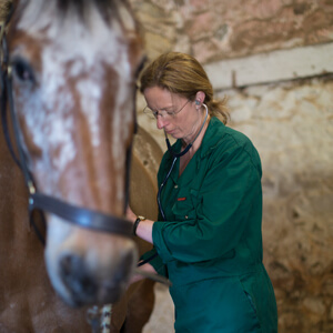 Sarah-Jane Heathcoate - Equine Health Club