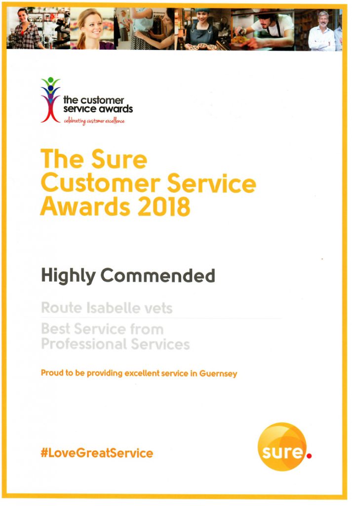 Customer Service Awards - Sure 2018